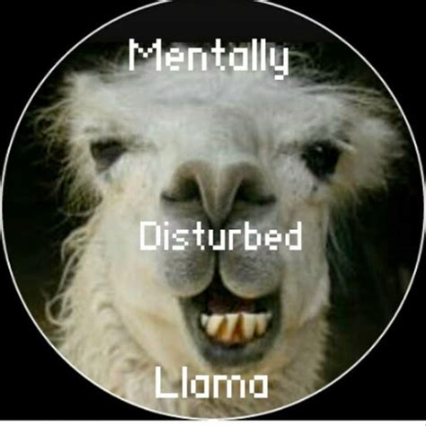 mentally disturbed llama.